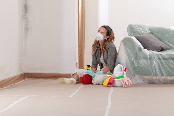 Reliable Black Mold Removal contractor in Weehawken, NJ by WQB Mold Removal